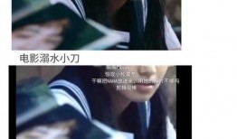 吃瓜小说娱乐圈完结文